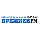 Брежнев FM