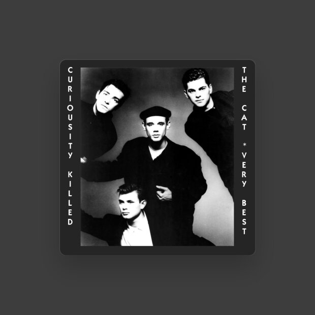 Curiosity Killed The Cat