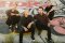 Simple Plan