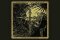 Abhorrent Decimation