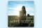 Aoife Scott