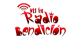 Radio Bendicion 91.1