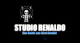 Studio Renaldo