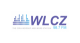 WLCZ 98.7 FM