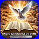 radio armadura de deus