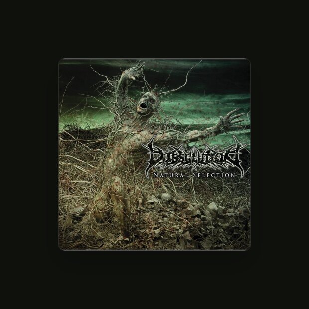 Dissolution