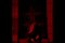 Invultation