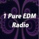 1 Pure EDM Radio