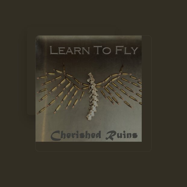 Learn To Fly